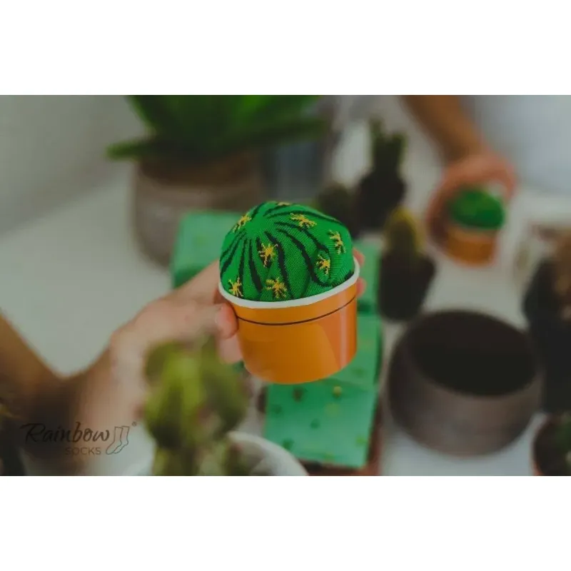Kolorowe skarpetki | Kaktus w doniczce